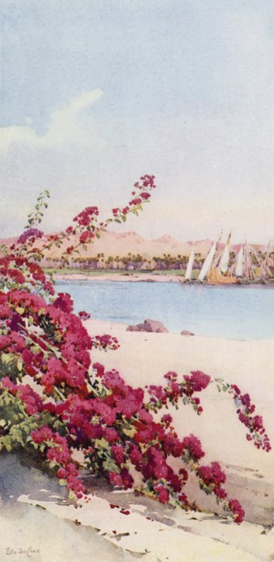Hory na sever od Assuanu ze zahrady na Elephantine Island (barva litho) od Ella Du Cane