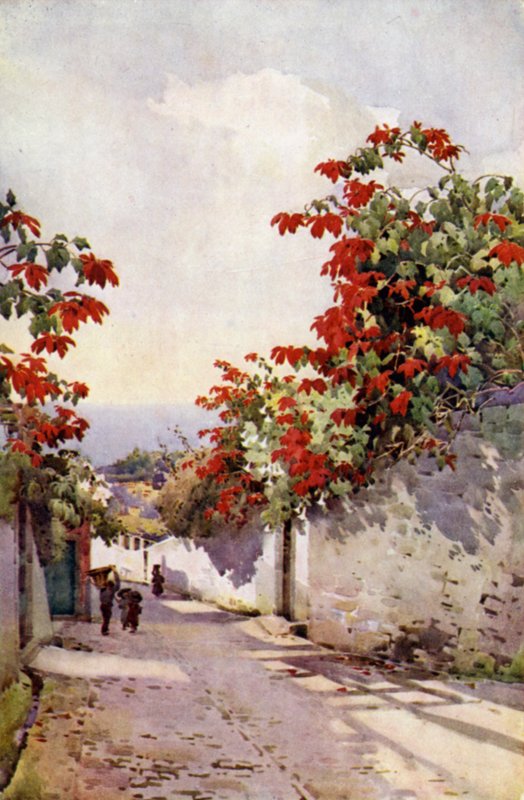 Vánoční hvězda na Mount Road (barva litho) od Ella Du Cane