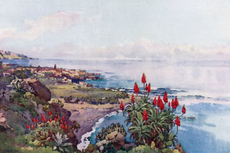 Puerto Orotava (barevní členové) od Ella Du Cane