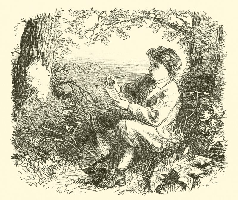 David Wilkie, chlapec, studující z přírody od English School
