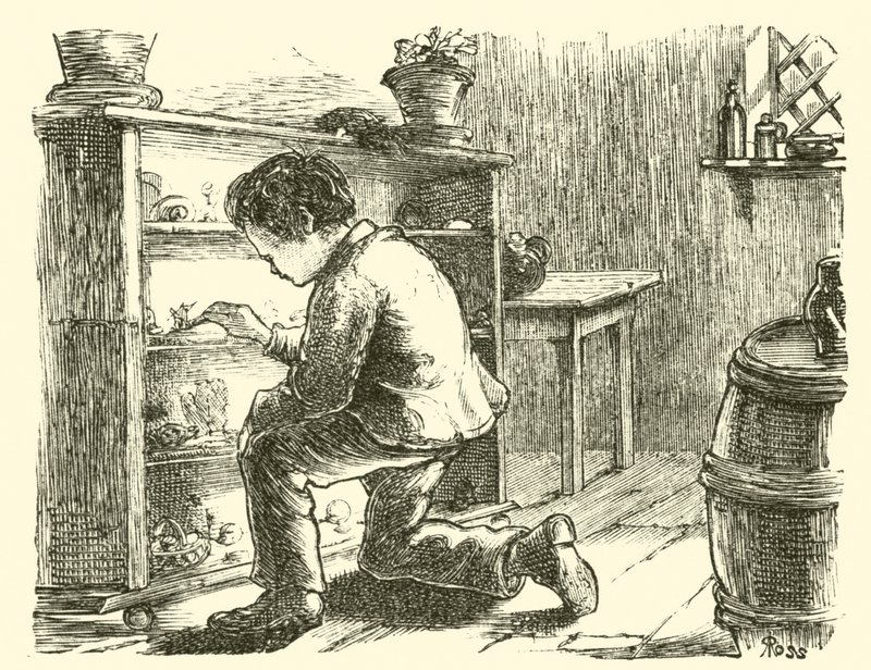 Edward Forbes, zařizuje své miniaturní muzeum od English School