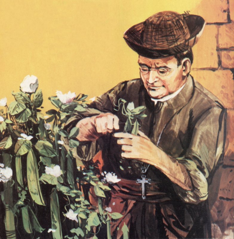 Johann Mendel pracující ve své klášterní zahradě od English School