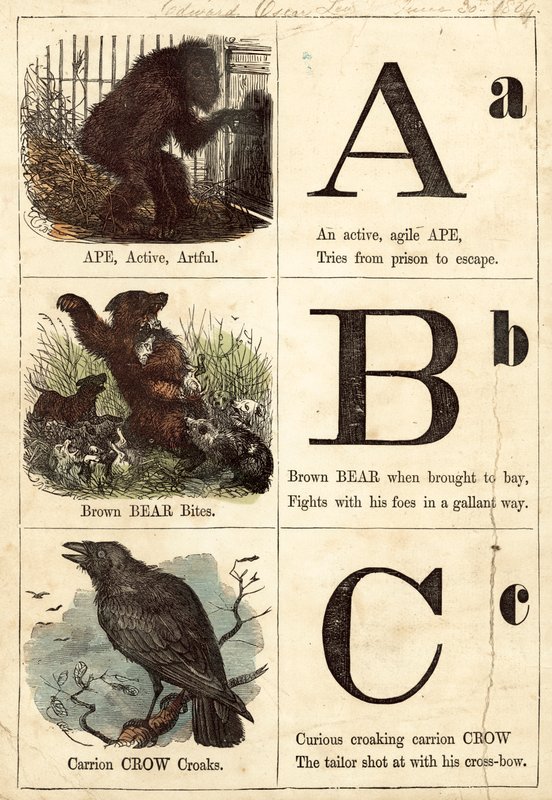 Obrázková abeceda od English School