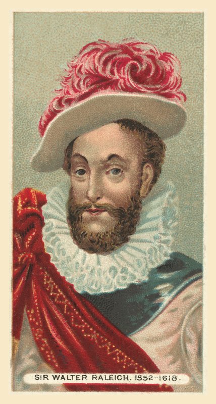 Sir Walter Raleigh, 1552-1618 od English School