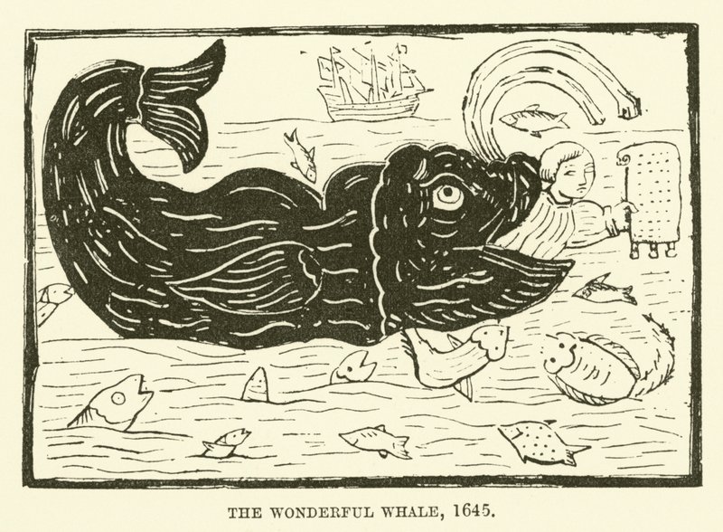 Nádherná velryba, 1645 od English School