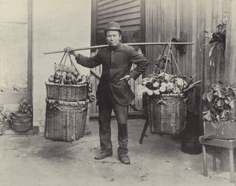 Čínský rostlinný Hawker od English Photographer