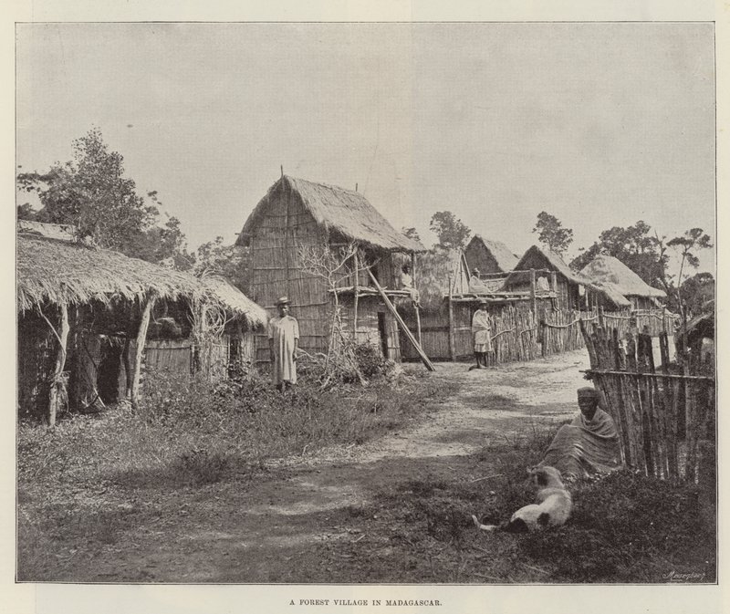 Lesní vesnice na Madagaskaru od English Photographer