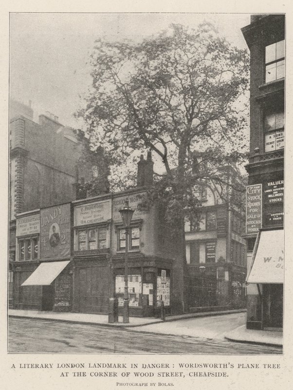 Literární londýnská památka v nebezpečí, platan Wordsworths na rohu Wood Street, Cheapside od English Photographer