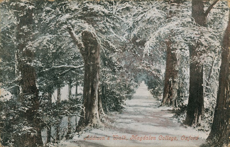 Addisons Walk, Magdalen College, Oxford. Pohlednice odeslána v roce 1913. od English Photographer