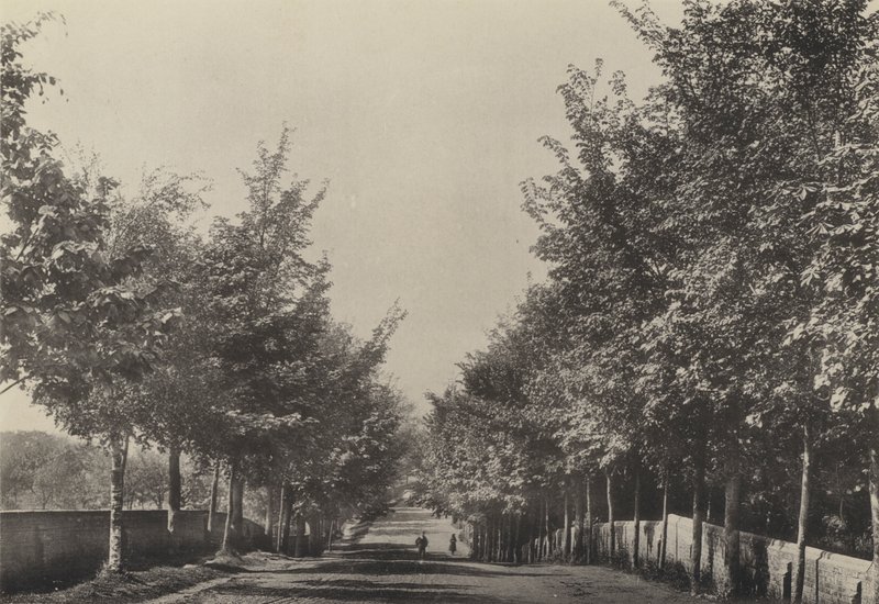 Aldeburgh, Westfields Avenue (černobílá fotografie) od English Photographer