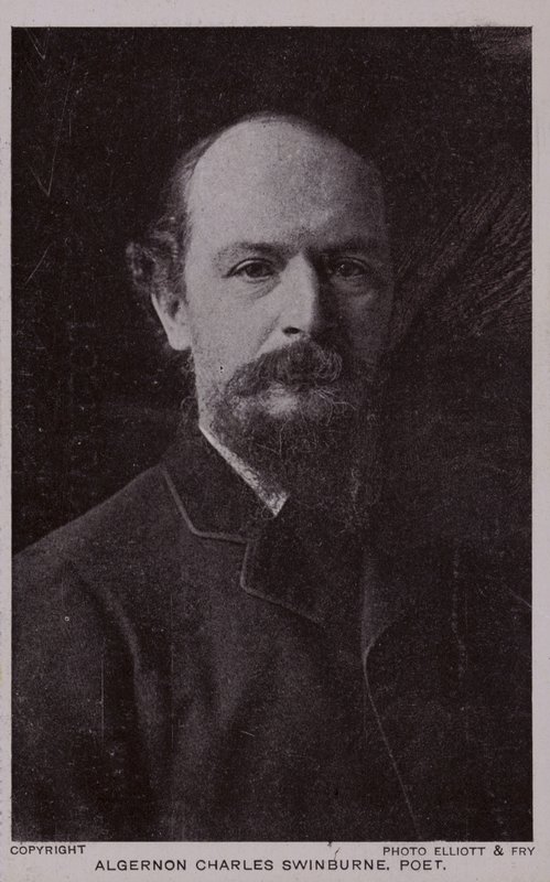 Algernon Charles Swinburne (1837-1909), anglický básník a dramatik od English Photographer