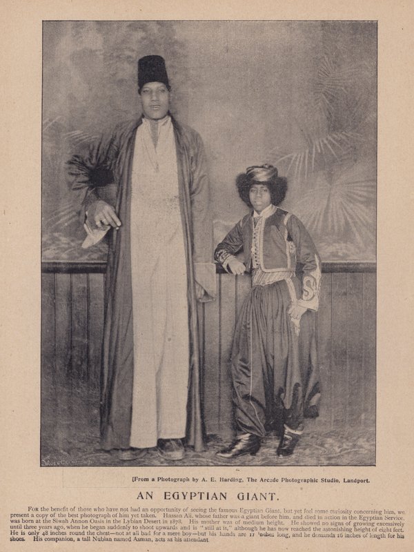Egyptský obr (černobílá fotografie) od English Photographer