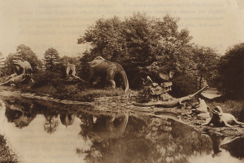 Předpotopní zvířata od English Photographer