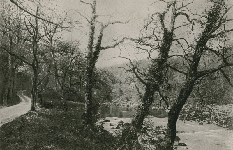Bolton Woods od English Photographer