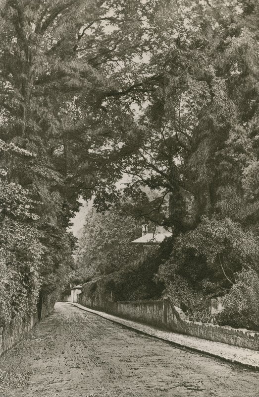 Bonchurch Road, Isle of Wight od English Photographer