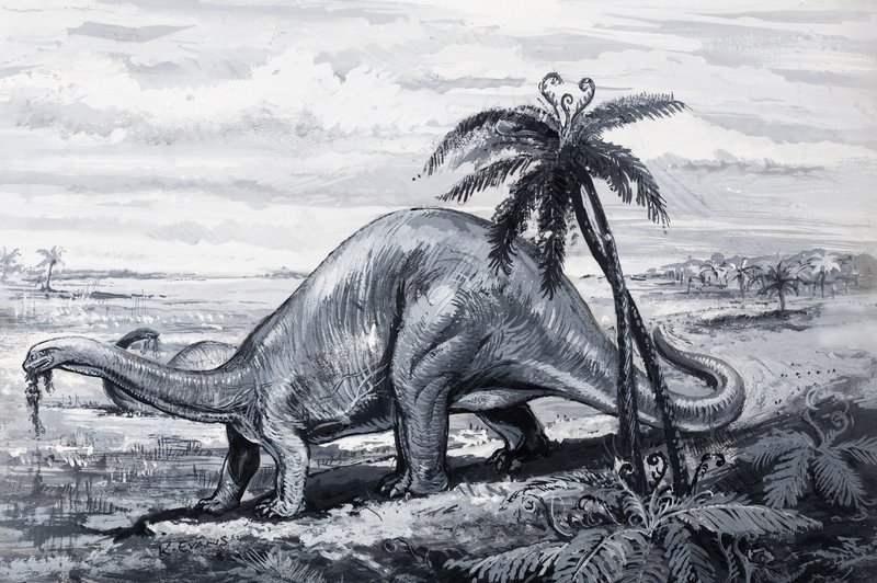 Brontosaurus od English Photographer