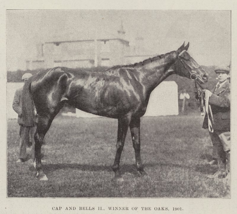 Cap and Bells II, Winner of the Oaks, 1901 od English Photographer