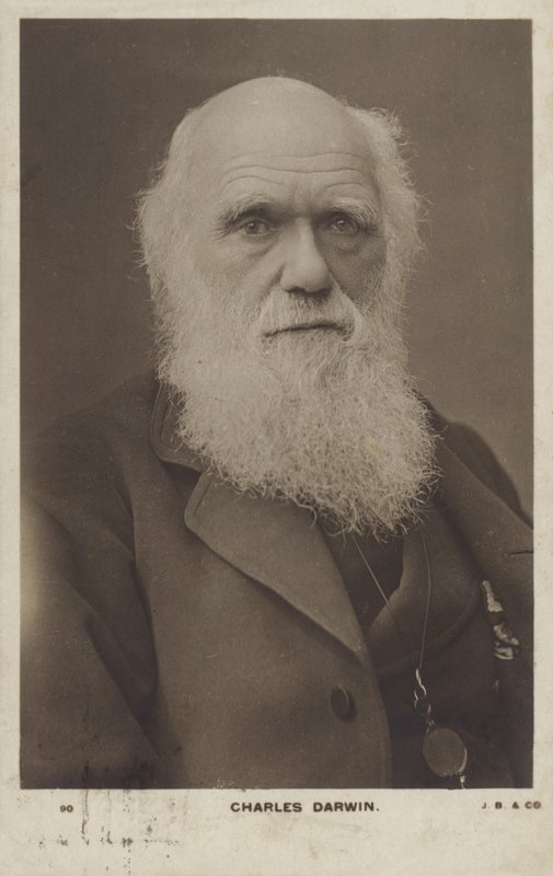 Charles Darwin (1809-1882), anglický přírodovědec od English Photographer