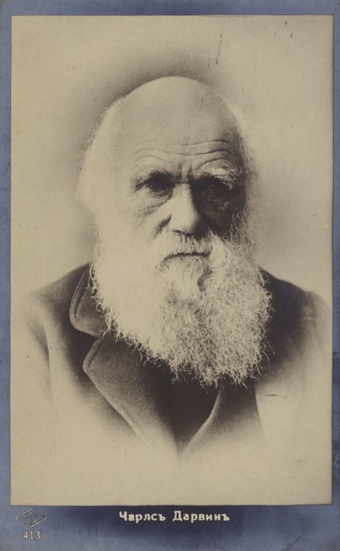 Charles Darwin (1809-1882), anglický přírodovědec od English Photographer