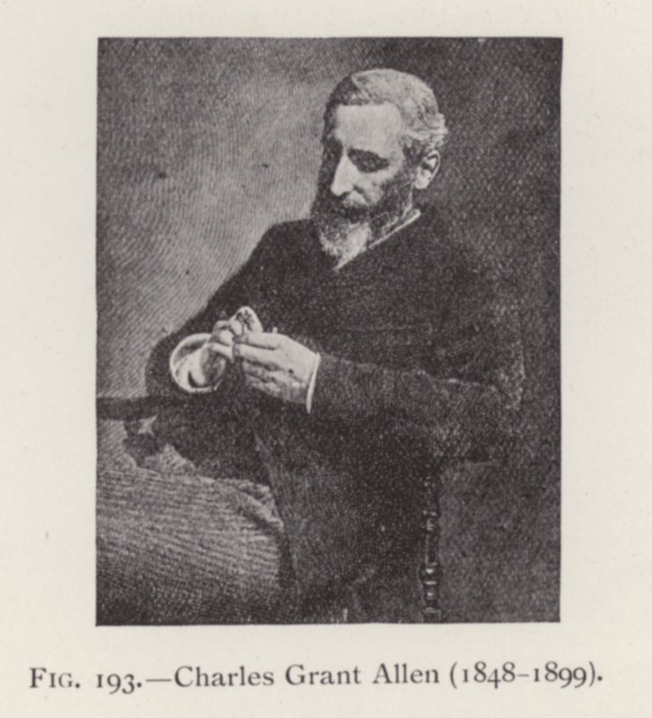 Charles Grant Allen (1848-1899), portrét (čb foto) od English Photographer