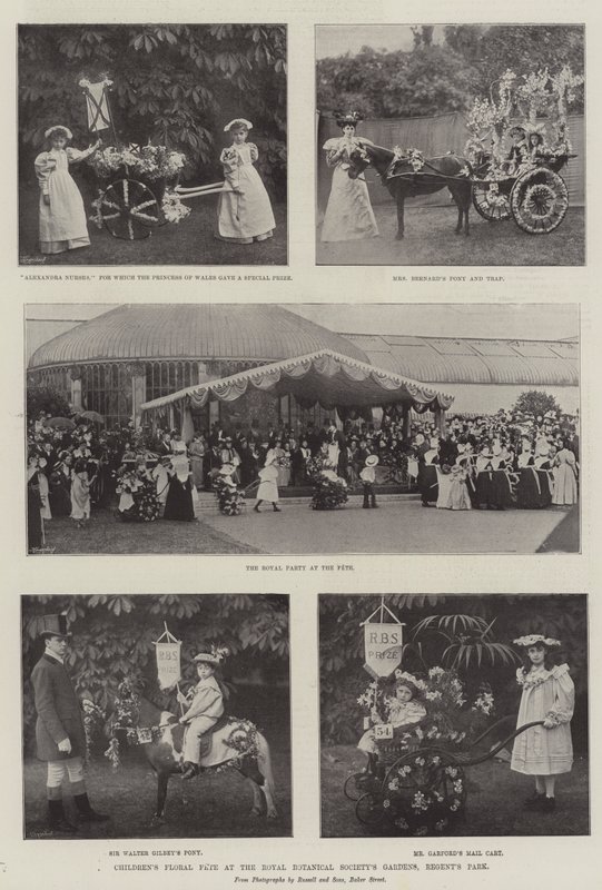Dětská květinová slavnost v zahradách Royal Botanical Societies, Regents Park od English Photographer