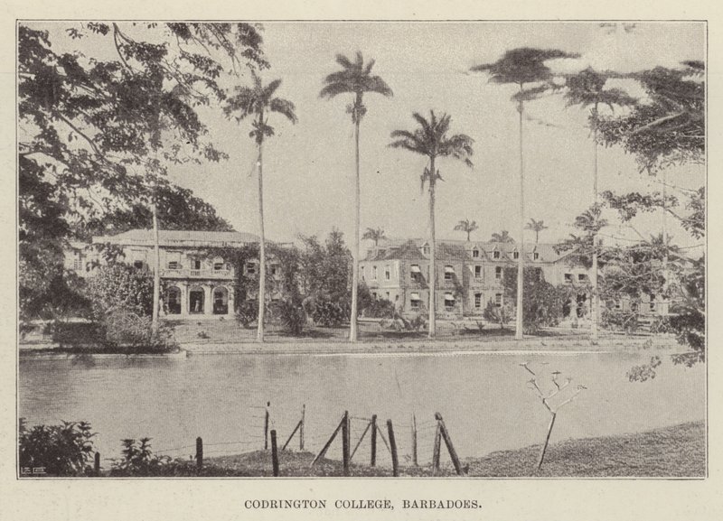 Codrington College, Barbados od English Photographer