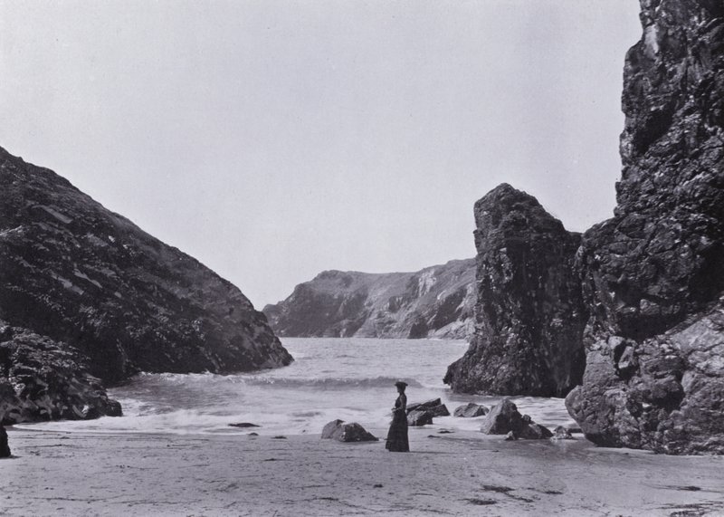 Cornwall: Kynance Cove, ještěrka od English Photographer