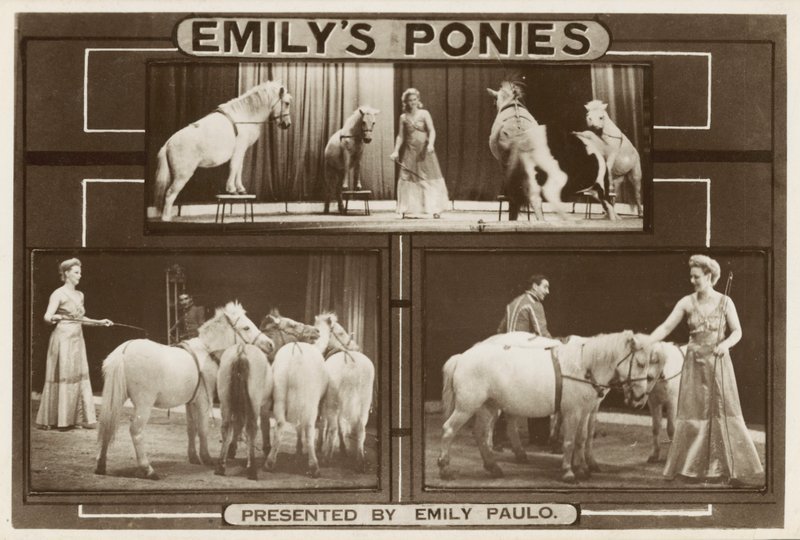 Emily Paulo a její výkonní trénovaní poníci (č/b foto) od English Photographer