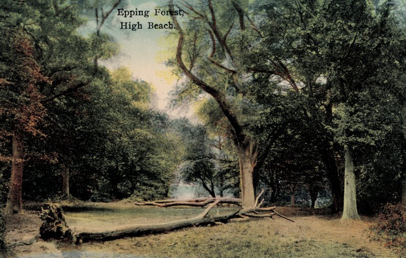 Epping Forest, High Beach (foto) od English Photographer