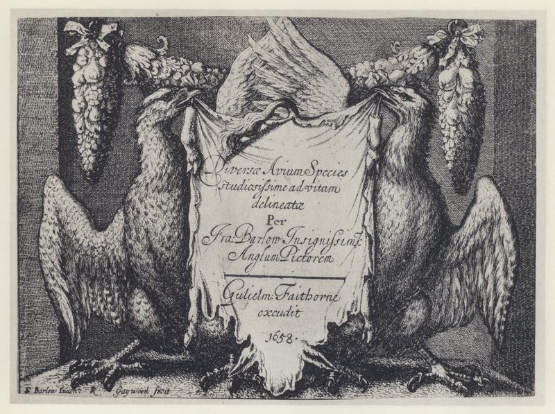 F Barlow, Diversae avium species, G Faithorne 1658 (č. foto) od English Photographer
