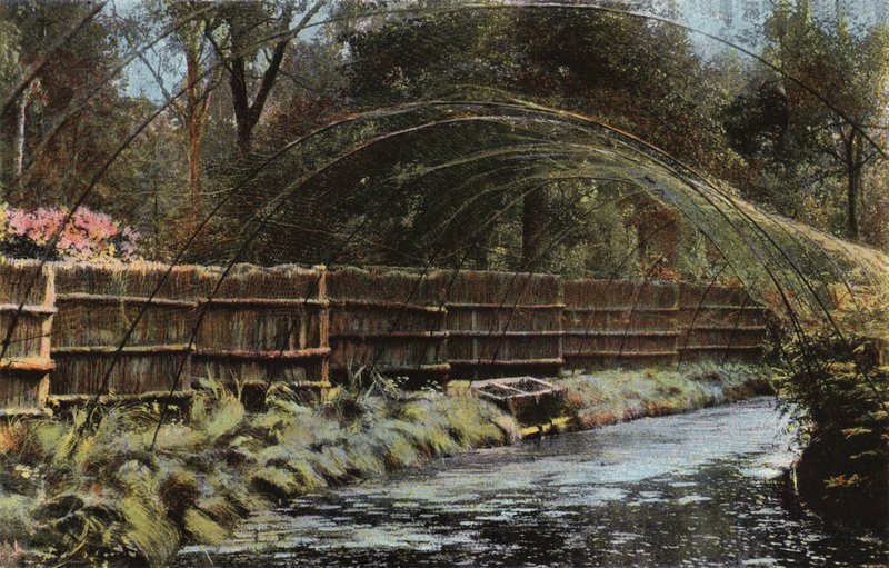 Fritton Decoy od English Photographer