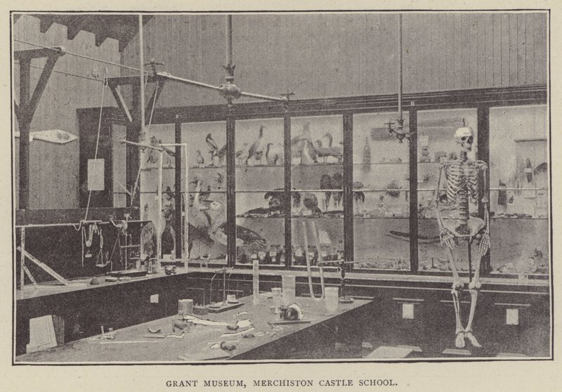 Grant Museum, Merchiston Castle School (rytina) od English Photographer