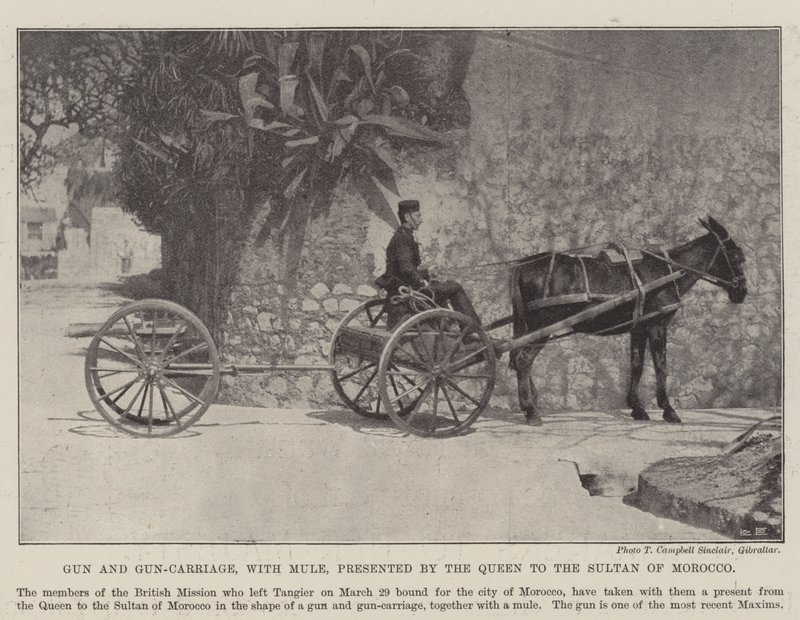 Gun and Gun-Carriage s Mezkem, které královna předložila marockému sultánovi od English Photographer