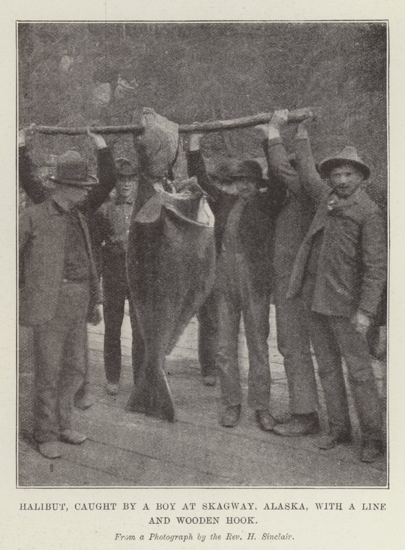 Halibut, chycený chlapcem ve Skagway na Aljašce, s vlascem a dřevěným hákem od English Photographer