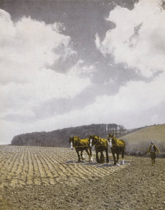 Harrowing in the Spring (č/b foto) od English Photographer