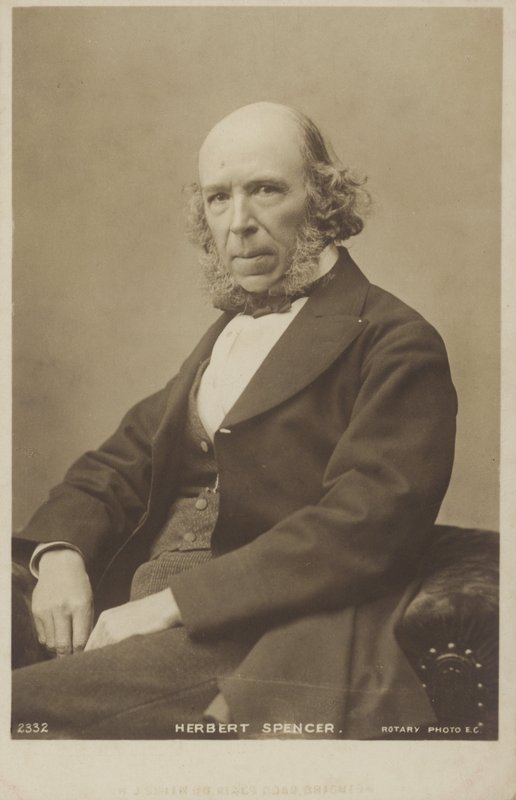 Herbert Spencer (1820-1903), anglický filozof, politický teoretik, biolog a sociolog od English Photographer