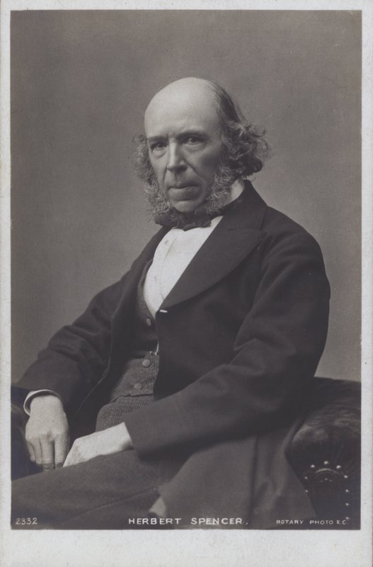 Herbert Spencer (čb fotografie) od English Photographer