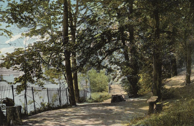 Jephson Gardens, Leamington od English Photographer