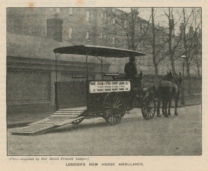 Londýnská nová koňská ambulance od English Photographer