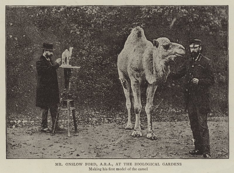 Pan Onslow Ford, ARA, v zoologické zahradě od English Photographer