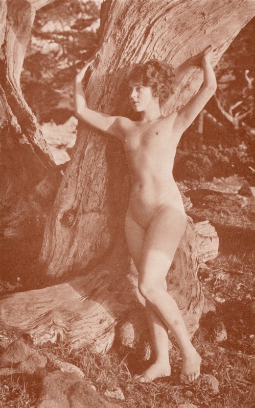 Nudistické umění: (čb fotografie) od English Photographer