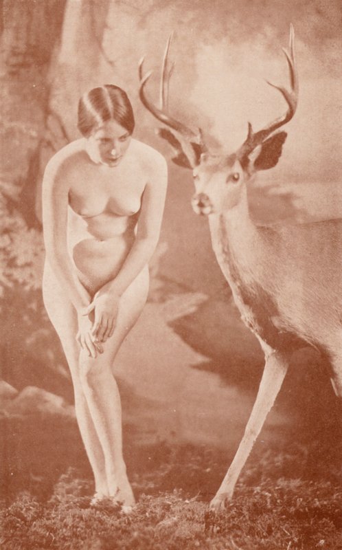 Nudistické umění: Lesní idyla (čb fotografie) od English Photographer