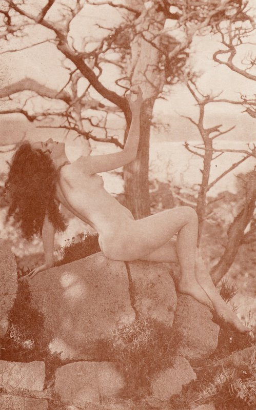 Nudistické umění: Tanglewood (čb fotografie) od English Photographer