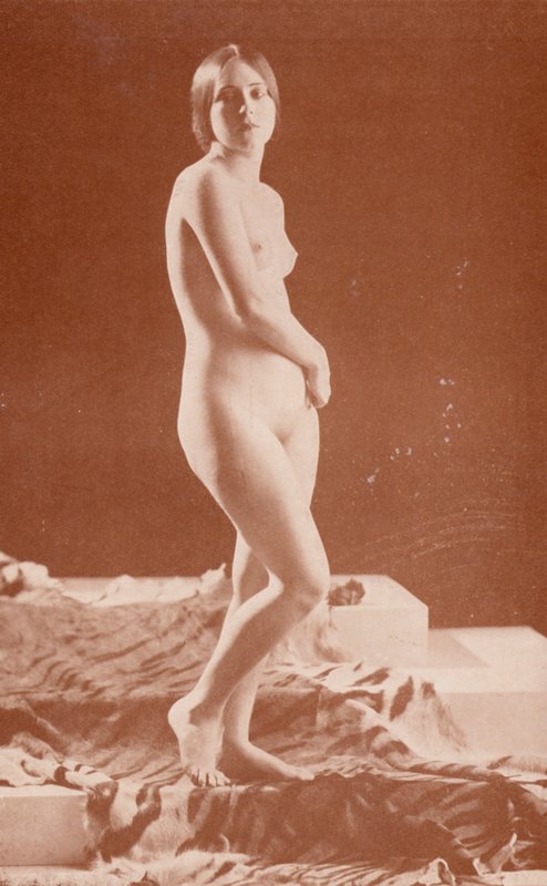 Nudistické umění: Tygří dáma (čb fotografie) od English Photographer