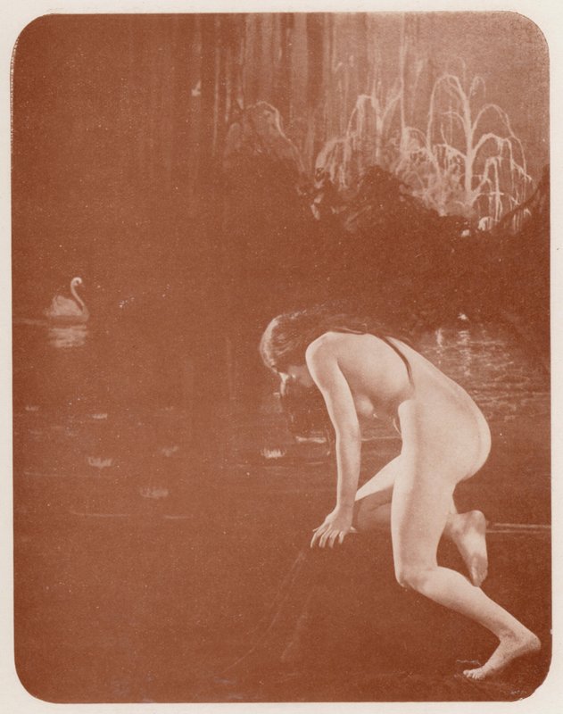Nudistické umění: Lilie (čb fotografie) od English Photographer