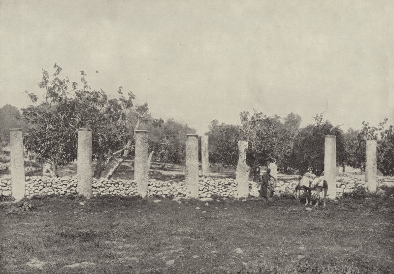 Herodův palác, Samaří, pozůstatky paláce, postaveného Herodem na počest Augusta od English Photographer