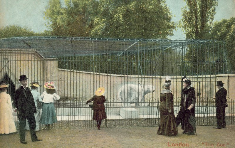 Lidé navštěvující výběh ledních medvědů v londýnské zoo (foto) od English Photographer