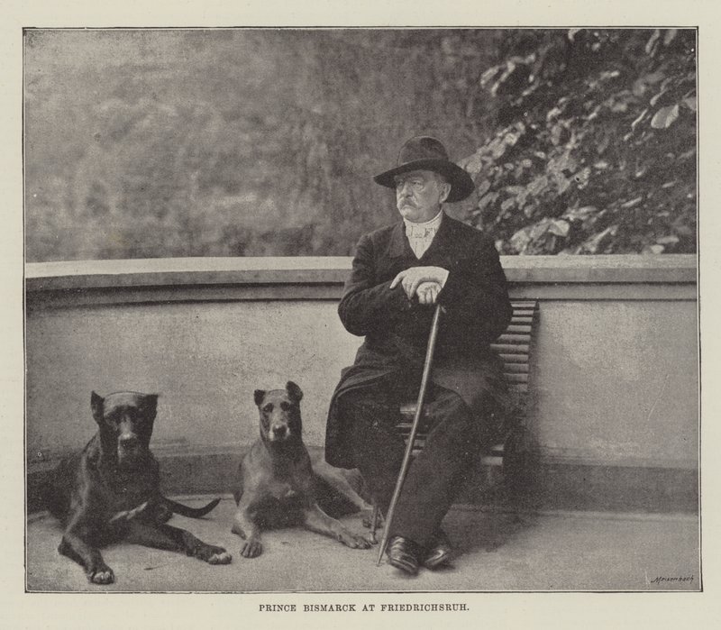 Princ Bismarck ve Friedrichsruhu od English Photographer