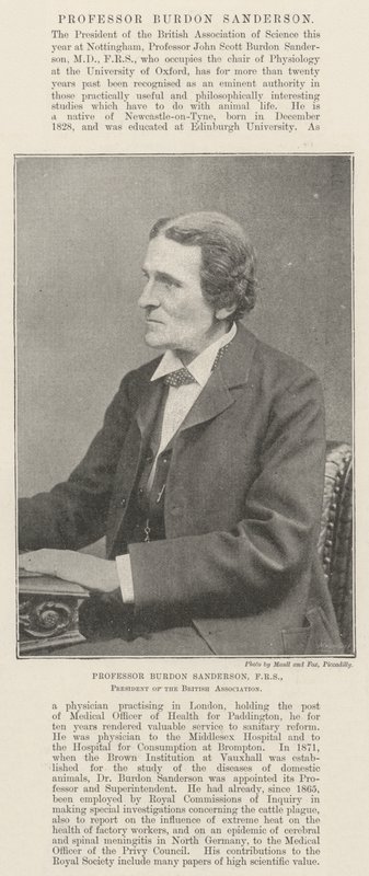 Profesor Burdon Sanderson, FRS, prezident Britské asociace od English Photographer