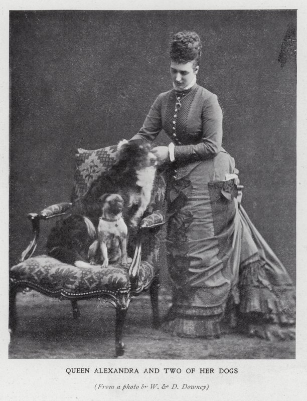 Královna Alexandra a dva její psi (černobílá fotografie) od English Photographer